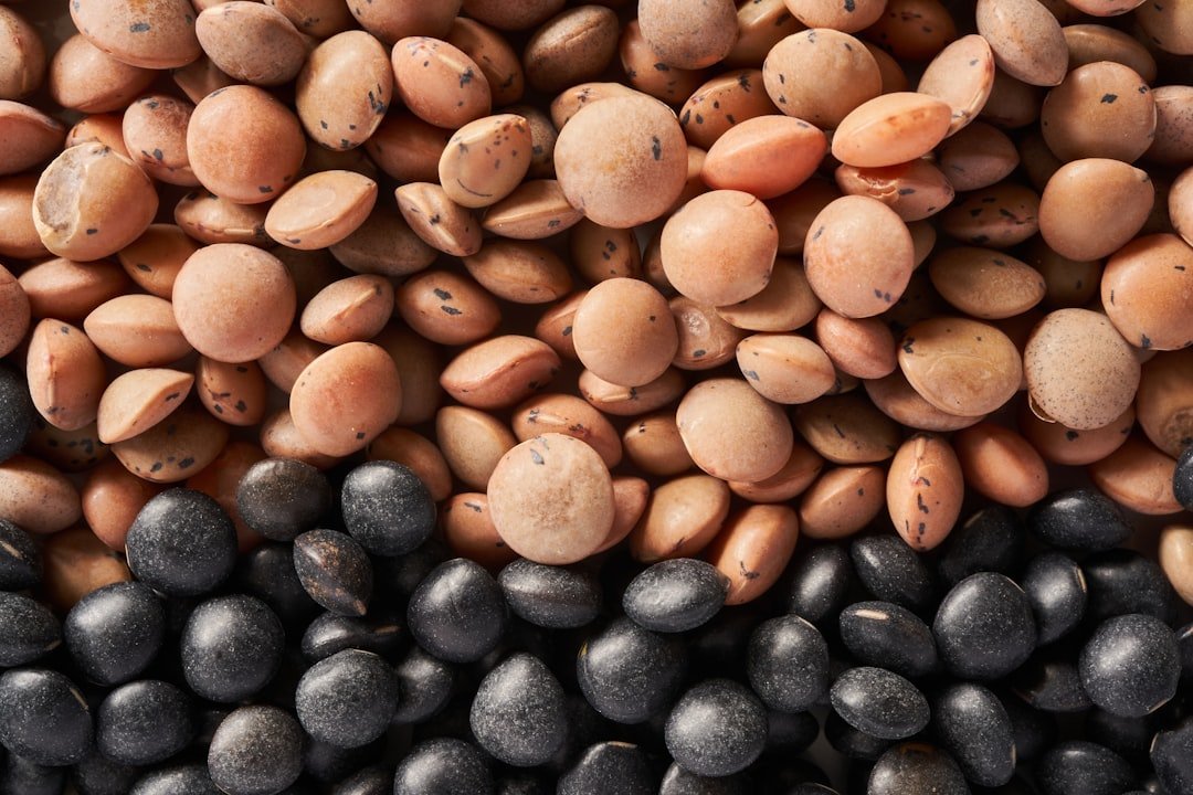 Bulk beans representing Canadian pulse supply for commercial buyers