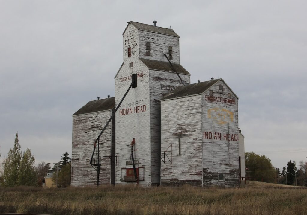 Canadian agricultural landscape representing canola meal sourcing