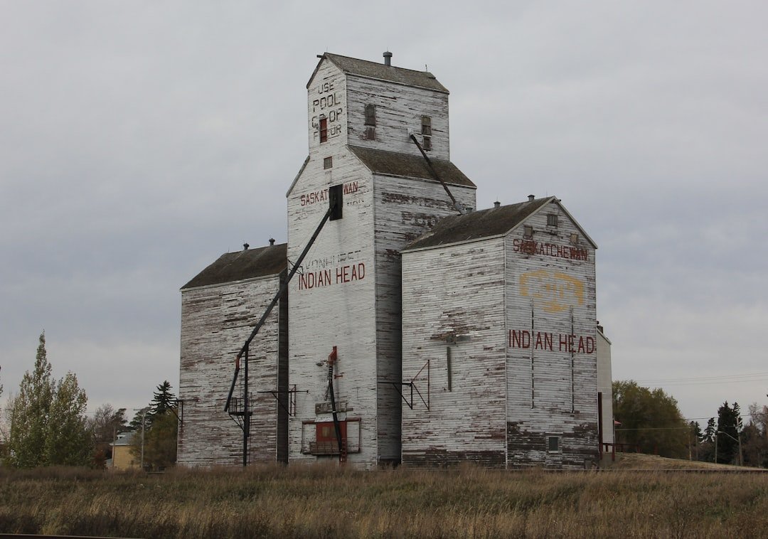 Canadian agricultural landscape representing canola meal sourcing